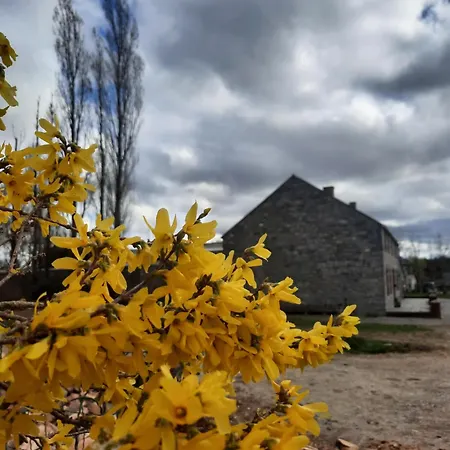 Aux Peupliers A La Ferme * Chimay